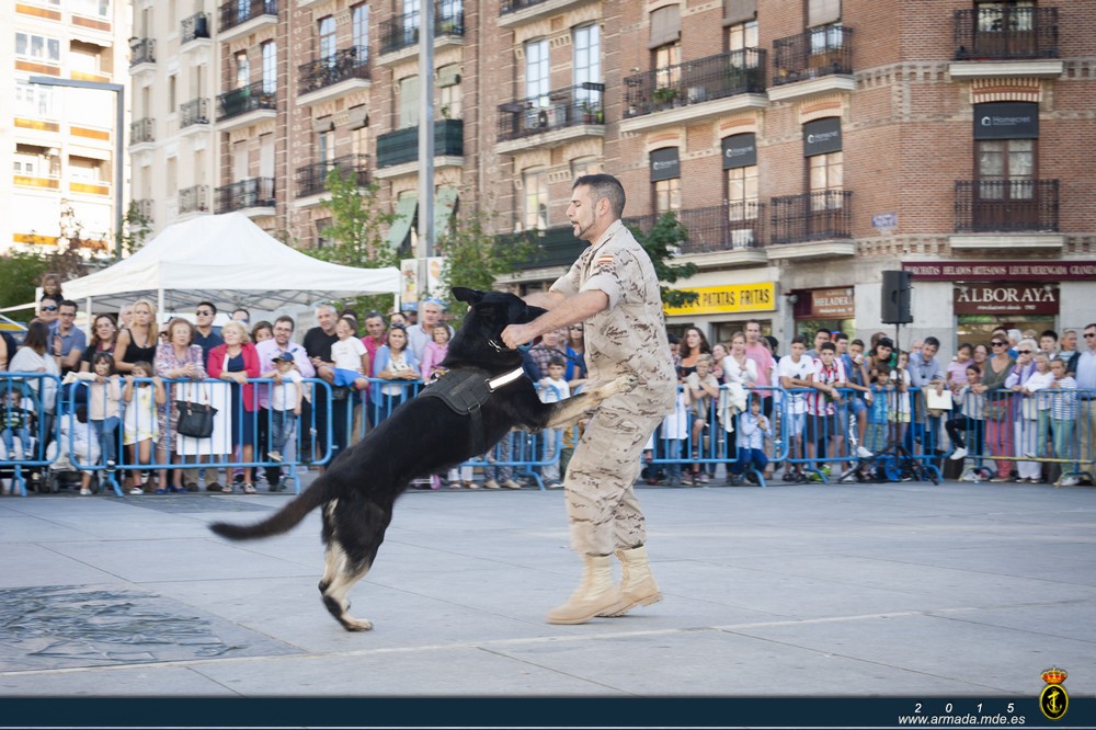 V SEMANA NAVAL MADRID 2015. Demostración de capacidades de la unidad canina de la AGRUMAD